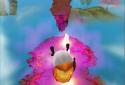 Panda Run screenshot 6
