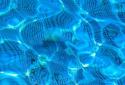 Water Drop Live Wallpaper screenshot 1