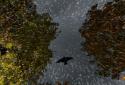 Falling leaves live Wallpaper screenshot 11