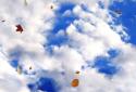 Falling leaves live Wallpaper screenshot 6