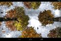 Falling leaves live Wallpaper screenshot 7