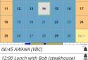 Pocket Informant screenshot 2