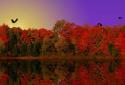 Autumn Lake Live Wallpaper screenshot 3