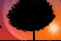 Autumn Trees Live Wallpaper screenshot 12