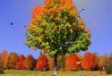 Autumn Trees Live Wallpaper screenshot 3