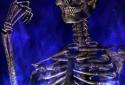 Hellfire Skeleton screenshot 4