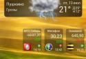 Starksoft Balance widget screenshot 2