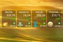Starksoft Balance widget screenshot 5