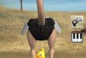 Talking Joe Ostrich screenshot 2