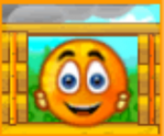 Cover Orange