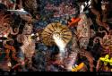 Koi Live Wallpaper screenshot 6