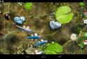 Koi Live Wallpaper screenshot 9