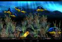 My 3D Fish screenshot 13