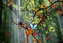 Jungle of Flowers LWP screenshot 2