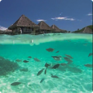 Lagoon Waves HD