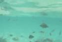 Lagoon Waves HD screenshot 3