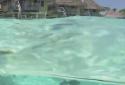 Lagoon Waves HD screenshot 7
