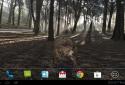 Pocket Bear HD screenshot 16
