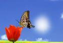 Spring Flow HD screenshot 8