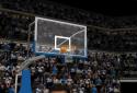 Real Basketball screenshot 6