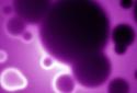 Live Wallpaper Osmosis screenshot 4