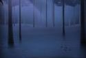 Enchanted forest screenshot 5