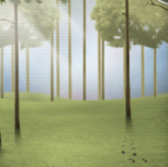 Enchanted forest
