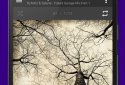 AIMP for Android screenshot 2