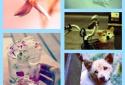 InstaCollage Pro screenshot 3