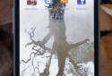 Forest Alive Video Wallpaper + (Video Wallpaper Forest +) screenshot 5