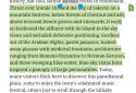Google Play Books screenshot 19