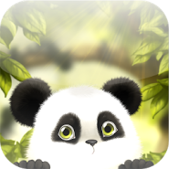 Live Wallpaper with Panda