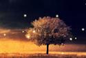 Awesome Land Live Wallpaper screenshot 7