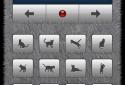 The cat screenshot 4