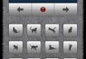The cat screenshot 9
