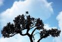 OXON L. W. Nature Free HD screenshot 1