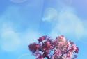 Nature Live Wallpaper screenshot 1