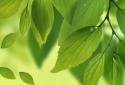 Galaxy S4 Leaf Animated screenshot 4