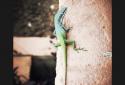 Photo Editor by Aviary screenshot 2