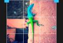 Photo Editor by Aviary screenshot 3