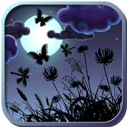 Night Nature HD