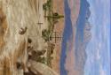 Deer Hunter 3D screenshot 5