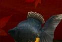 Gold Fish 3D Live Wallpaper screenshot 3