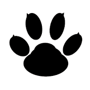 Call Recorder | Boldbeast