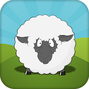 Rolling Sheep