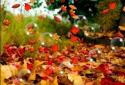 Autumn Pro Live Wallpaper screenshot 5
