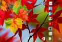 Falling Autumn Leaves LWP screenshot 1