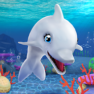 My Dolphin Show