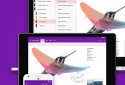 OneNote screenshot 5
