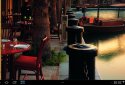 Find the cat HD screenshot 5